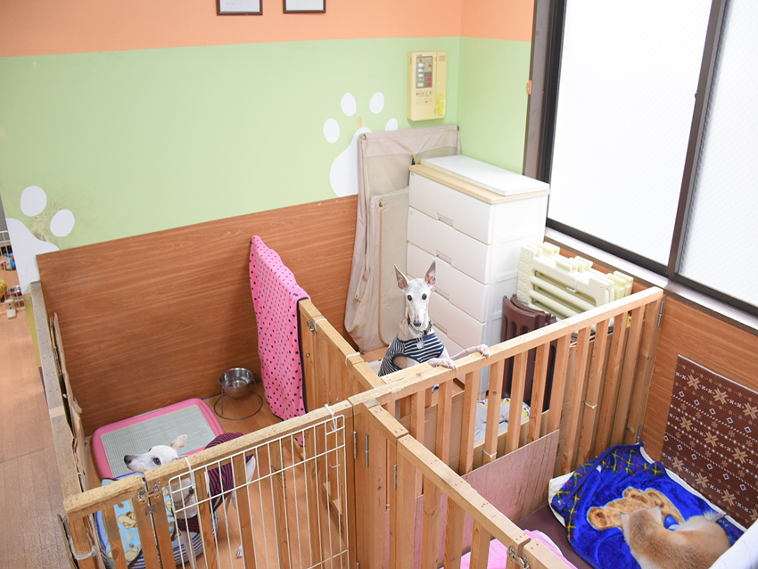 高齢者向け住宅